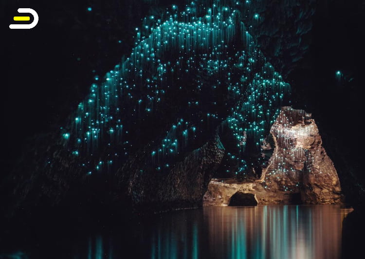 Waitomo Glowworm and Ruakuri Cave 怀托摩萤火虫洞&鲁阿库利洞