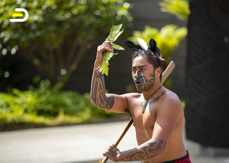 Te Puia - Te Rā (Guided tour)  90min - 罗托鲁阿 蒂普亚毛利文化村 日间票 