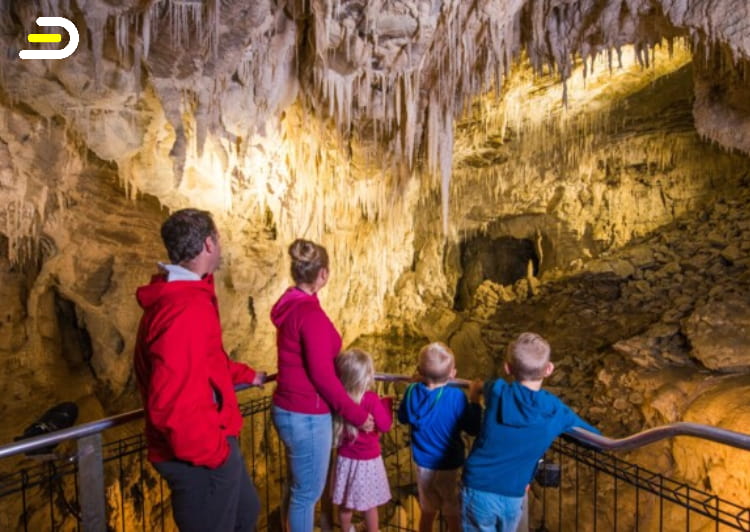 Ruakuri Cave 鲁阿库利洞