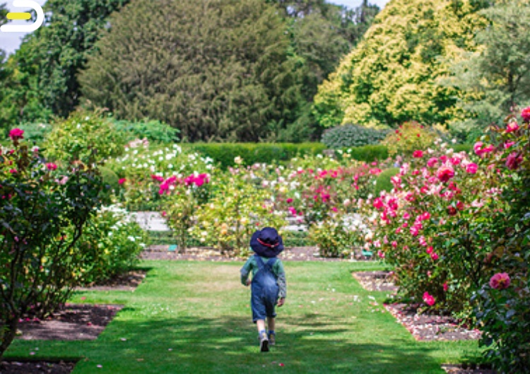 Christchurch adventure park Sightseeing Chairlift 基督城冒险公园 缆车观景