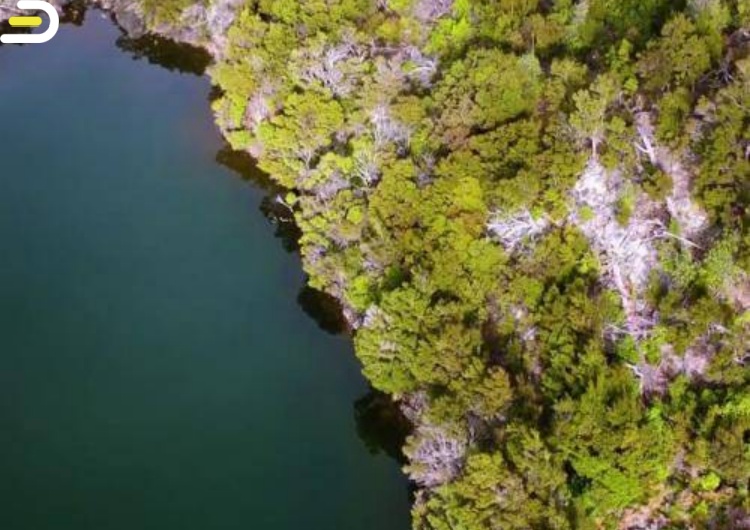Wanaka Cruises-Mou Waho Island – 瓦纳卡巡航 牟瓦霍游轮&漫步大自然 -3 hours