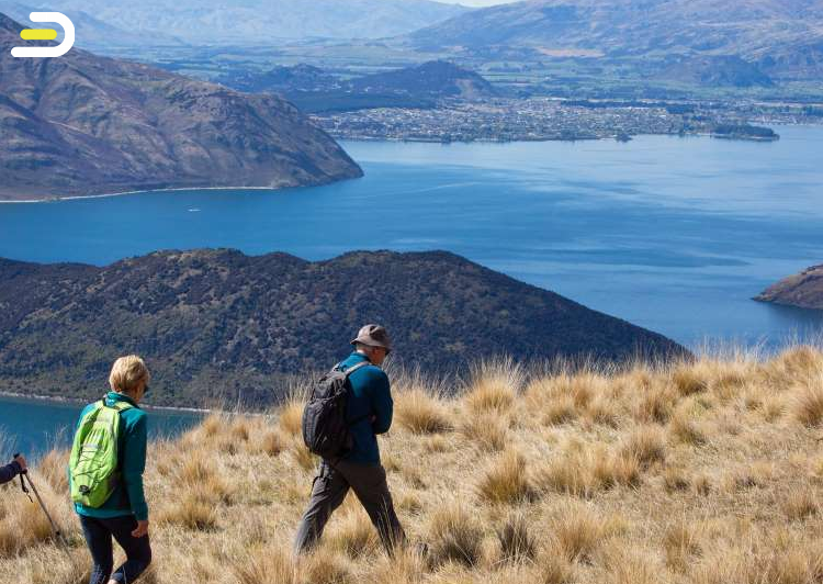 Ridgeline Wanaka-Mātukituki Valley Safari 瓦纳卡马图基图基谷探险之旅